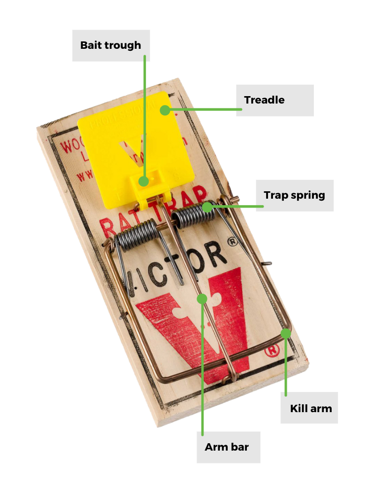 Victor Pro Rat Traps