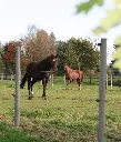 round post .webp