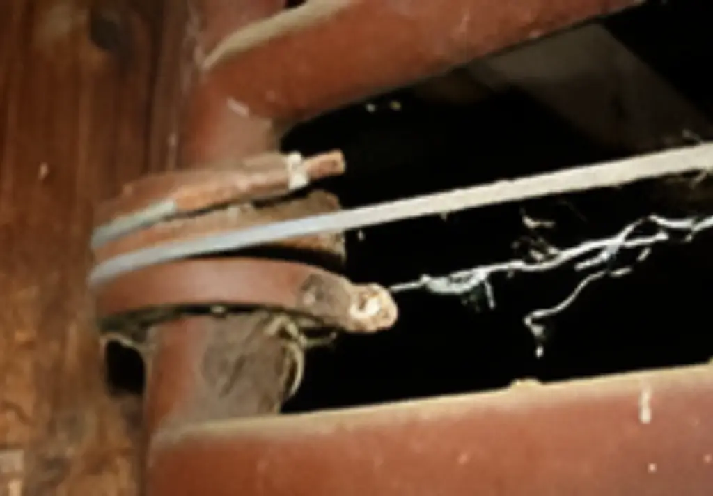 54_ cable.webp