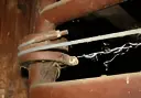 54_ cable.webp