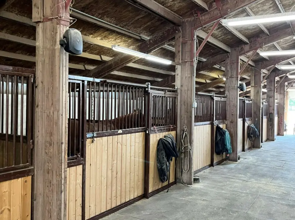 Traditional-Horse-Stall 3.webp