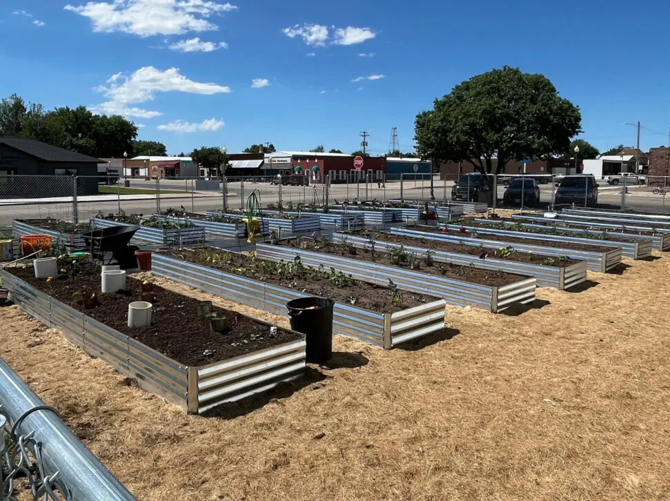 Community-Garden-Bed.webp