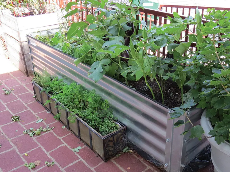 Metal-Garden-Bed-for-Vegetables.webp