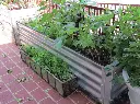 Metal-Garden-Bed-for-Vegetables.webp