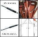 gas springs.webp