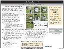 strainer installation.webp