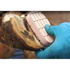hoof block on cow.webp