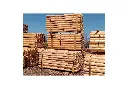 CEDAR FENCE POSTS.webp