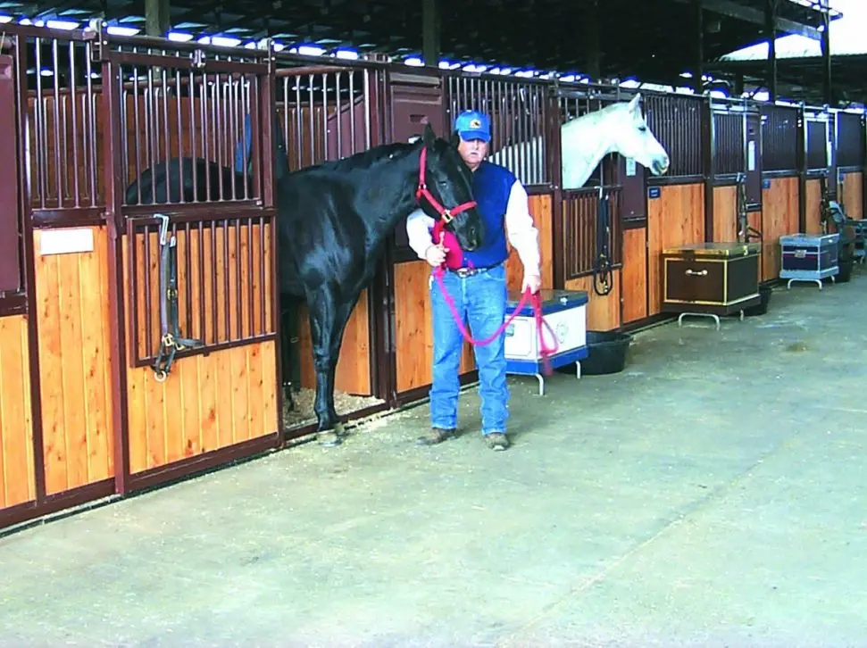 HiQual Traditional Stall Rail Dividers