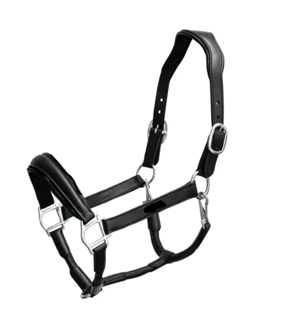 Leather Halter