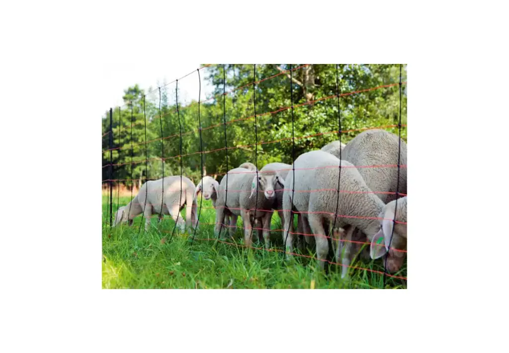 Sheep / Goat 9 Wire Electric Netting