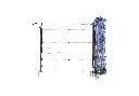 Preditor Net (Blue/White)
