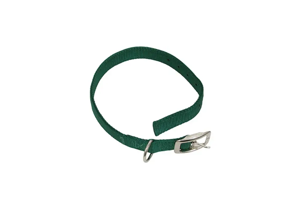 1" Green Calf Collar with Buckle