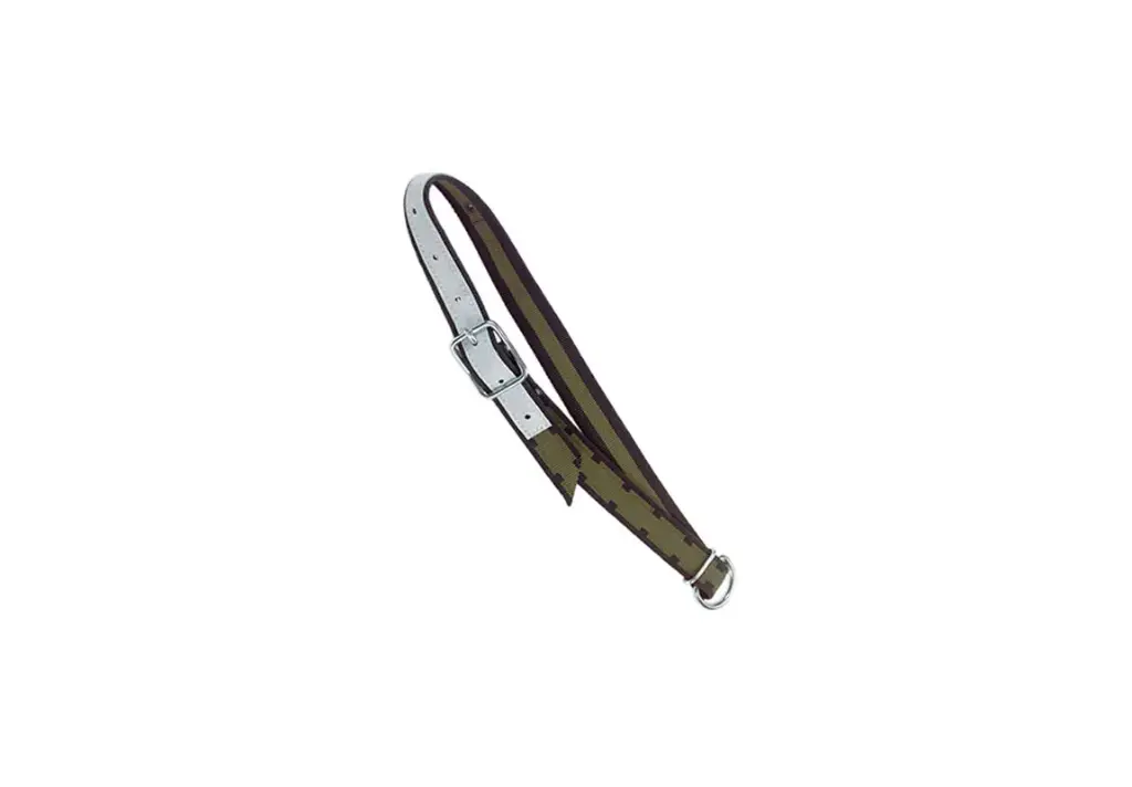 Neck Strap with Buckle and D-Ring