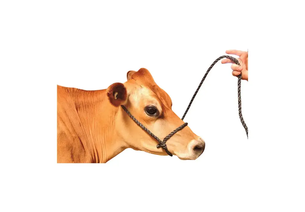 Cow/Horse Rope Halter
