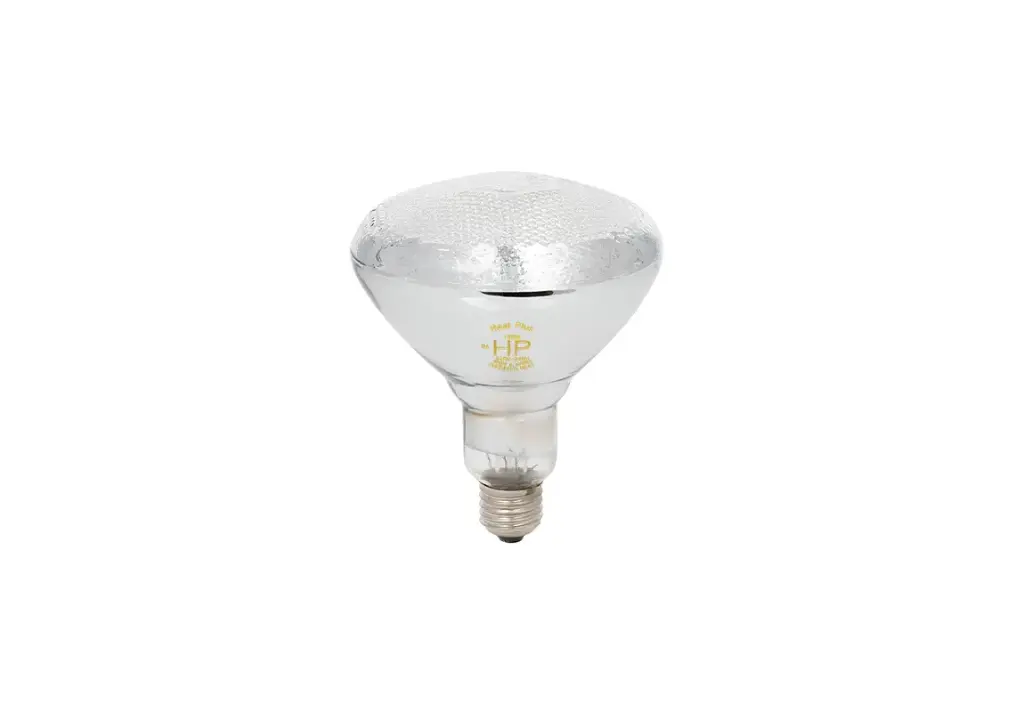 175 Watt  Heat Lamp Bulb