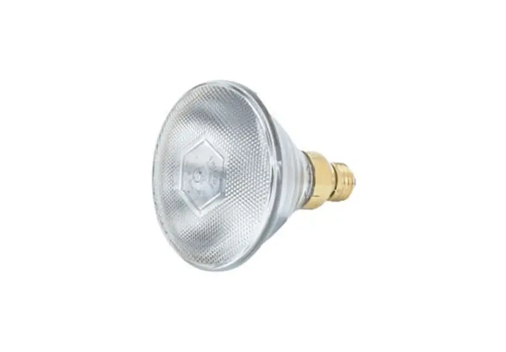 175 Watt Phillips Brooder Bulb