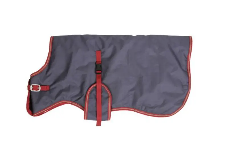 Calf Blanket
