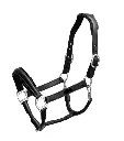 Leather Halter