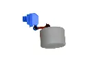 Float Valve With Short Arm and Float
